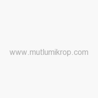 Organik ve Multivitaminli Yüz Serumu Sophyto
